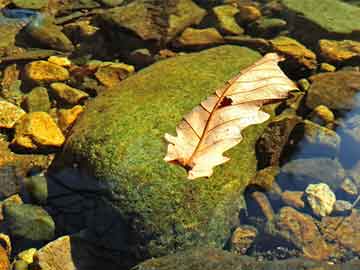 壺關(guān)實(shí)時(shí)天氣與艾艾貼代理價(jià)格深度解析報(bào)告