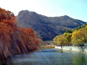 印度疫情實(shí)時(shí)動(dòng)態(tài)與鋁走勢(shì)深度解析
