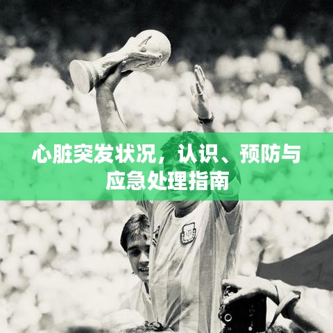 心臟突發(fā)狀況，認(rèn)識(shí)、預(yù)防與應(yīng)急處理指南