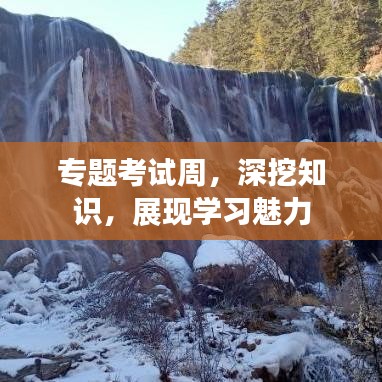 專題考試周，深挖知識，展現(xiàn)學(xué)習(xí)魅力