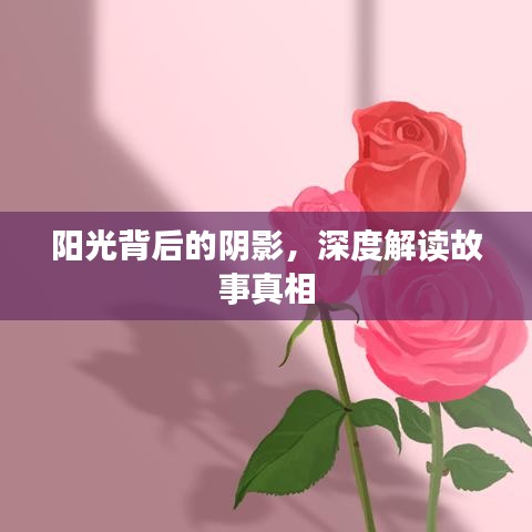 陽光背后的陰影，深度解讀故事真相