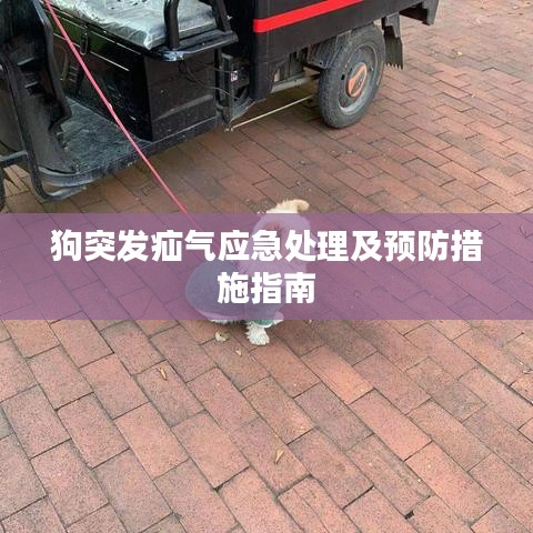 成功案例 第113頁(yè)
