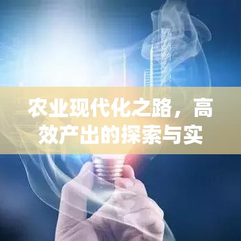 農(nóng)業(yè)現(xiàn)代化之路，高效產(chǎn)出的探索與實踐