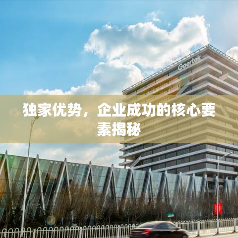 獨家優(yōu)勢，企業(yè)成功的核心要素揭秘