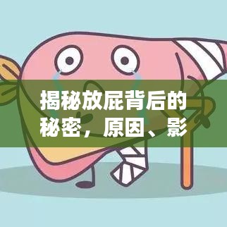 揭秘放屁背后的秘密，原因、影響與應(yīng)對方法