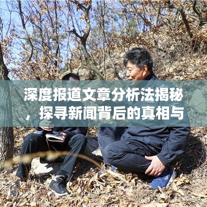 深度報(bào)道文章分析法揭秘，探尋新聞背后的真相與價(jià)值內(nèi)幕
