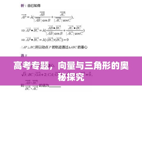 高考專題，向量與三角形的奧秘探究