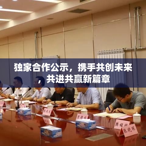 獨(dú)家合作公示，攜手共創(chuàng)未來(lái)，共進(jìn)共贏新篇章