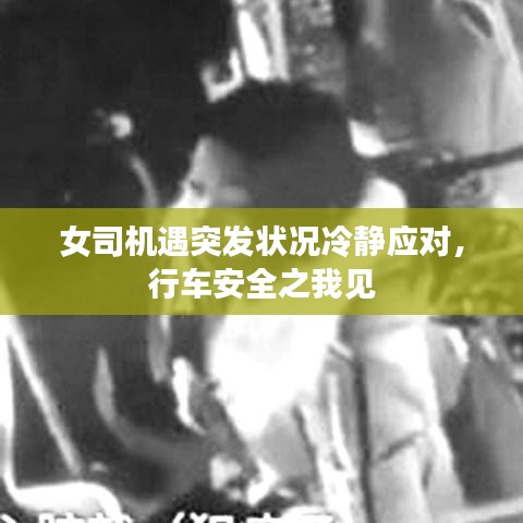 女司機(jī)遇突發(fā)狀況冷靜應(yīng)對(duì)，行車安全之我見