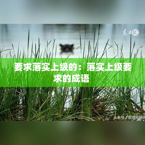 要求落實(shí)上級的：落實(shí)上級要求的成語 