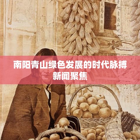 南陽(yáng)青山綠色發(fā)展的時(shí)代脈搏新聞聚焦