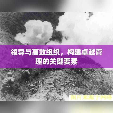 領(lǐng)導(dǎo)與高效組織，構(gòu)建卓越管理的關(guān)鍵要素