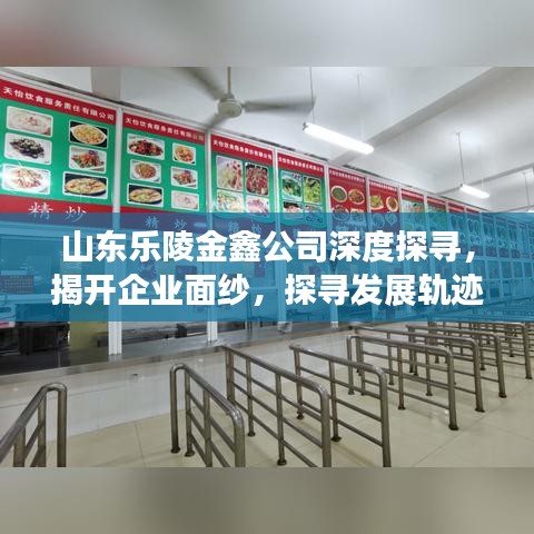 山東樂陵金鑫公司深度探尋，揭開企業(yè)面紗，探尋發(fā)展軌跡