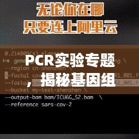 PCR實驗專題，揭秘基因組奧秘探索之旅