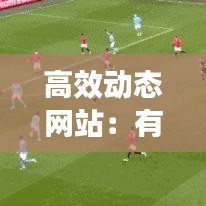 高效動(dòng)態(tài)網(wǎng)站：有什么動(dòng)態(tài)網(wǎng)站 