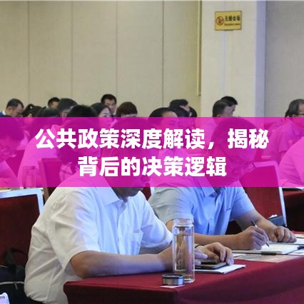 公共政策深度解讀，揭秘背后的決策邏輯