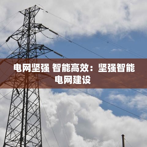 電網(wǎng)堅強 智能高效：堅強智能電網(wǎng)建設(shè) 