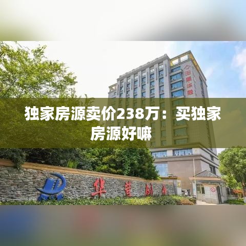 獨家房源賣價238萬：買獨家房源好嘛 