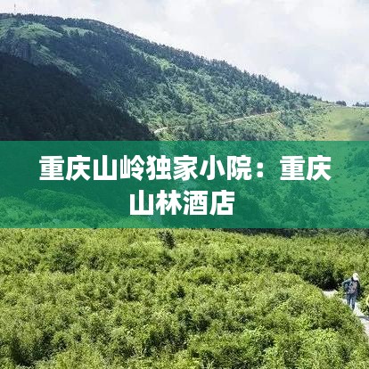 重慶山嶺獨家小院：重慶山林酒店 
