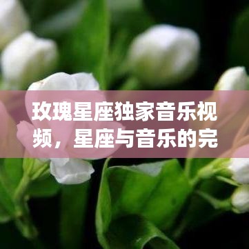 玫瑰星座獨家音樂視頻，星座與音樂的完美交融