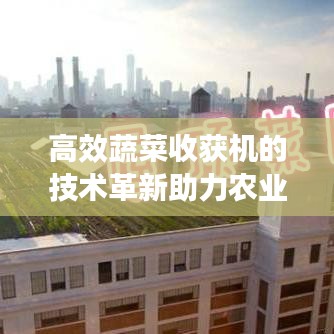 高效蔬菜收獲機(jī)的技術(shù)革新助力農(nóng)業(yè)現(xiàn)代化應(yīng)用