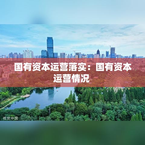 國(guó)有資本運(yùn)營(yíng)落實(shí)：國(guó)有資本運(yùn)營(yíng)情況 