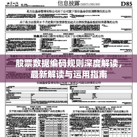 股票數(shù)據(jù)編碼規(guī)則深度解讀，最新解讀與運用指南