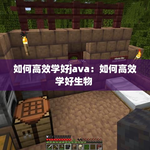 如何高效學(xué)好java：如何高效學(xué)好生物 