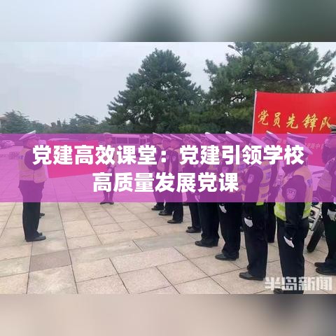 黨建高效課堂：黨建引領(lǐng)學(xué)校高質(zhì)量發(fā)展黨課 
