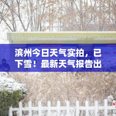 濱州今日天氣實(shí)拍，已下雪！最新天氣報(bào)告出爐