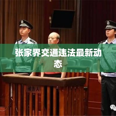 張家界交通違法最新動態(tài)