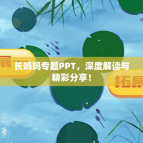 長媽媽專題PPT，深度解讀與精彩分享！