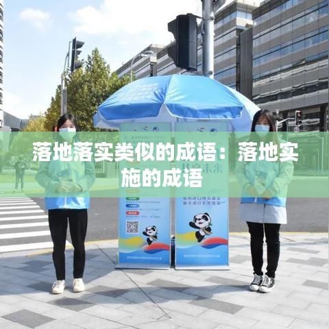 落地落實(shí)類似的成語(yǔ)：落地實(shí)施的成語(yǔ) 