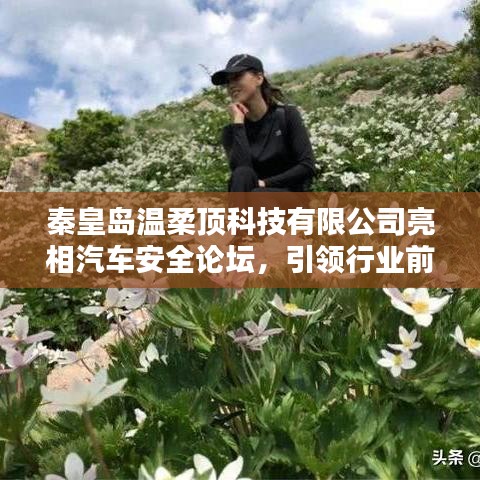 秦皇島溫柔頂科技亮相汽車安全論壇，引領(lǐng)前沿技術(shù)探討風(fēng)潮