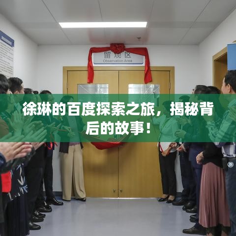 徐琳的百度探索之旅，揭秘背后的故事！