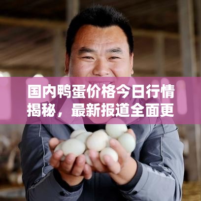 國內(nèi)鴨蛋價格今日行情揭秘，最新報道全面更新
