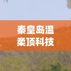 秦皇島溫柔頂科技參與汽車安全救援用品國(guó)標(biāo)制定