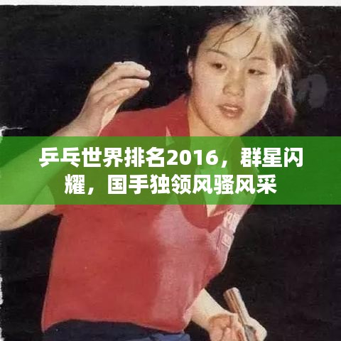 乒乓世界排名2016，群星閃耀，國手獨領風騷風采