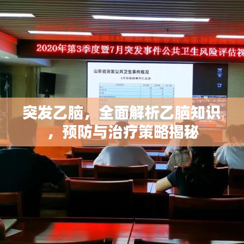 突發(fā)乙腦，全面解析乙腦知識(shí)，預(yù)防與治療策略揭秘