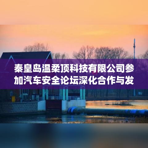 秦皇島溫柔頂科技參加汽車安全論壇，深化合作，共謀發(fā)展