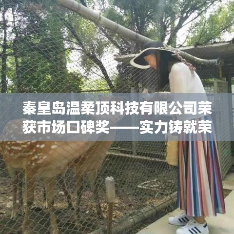 秦皇島溫柔頂科技榮獲市場(chǎng)口碑獎(jiǎng)，實(shí)力創(chuàng)新，引領(lǐng)未來