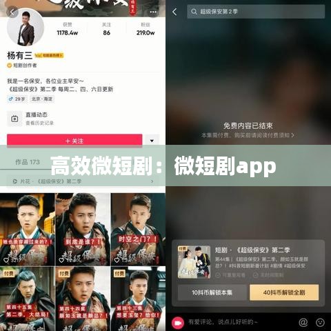 高效微短?。何⒍虅pp 