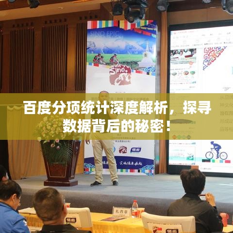 百度分項統(tǒng)計深度解析，探尋數(shù)據(jù)背后的秘密！