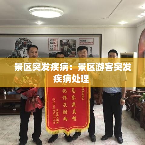 景區(qū)突發(fā)疾?。壕皡^(qū)游客突發(fā)疾病處理 