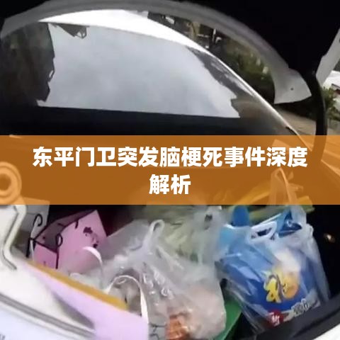 東平門(mén)衛(wèi)突發(fā)腦梗死事件深度解析