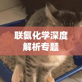 聯(lián)氨化學(xué)深度解析專題