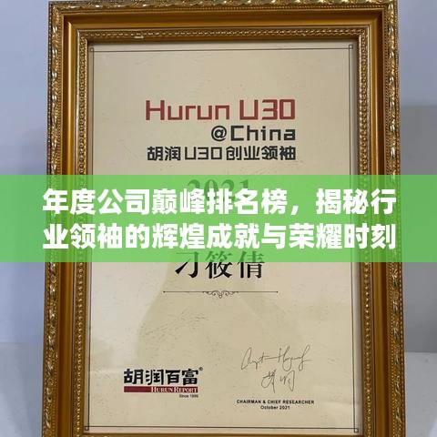 年度公司巔峰排名榜，揭秘行業(yè)領(lǐng)袖的輝煌成就與榮耀時刻