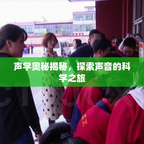 聲學(xué)奧秘揭秘，探索聲音的科學(xué)之旅