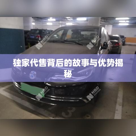 獨(dú)家代售背后的故事與優(yōu)勢(shì)揭秘