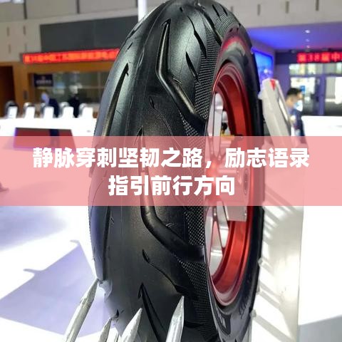 靜脈穿刺堅(jiān)韌之路，勵(lì)志語錄指引前行方向